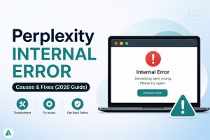 Internal Error Perplexity