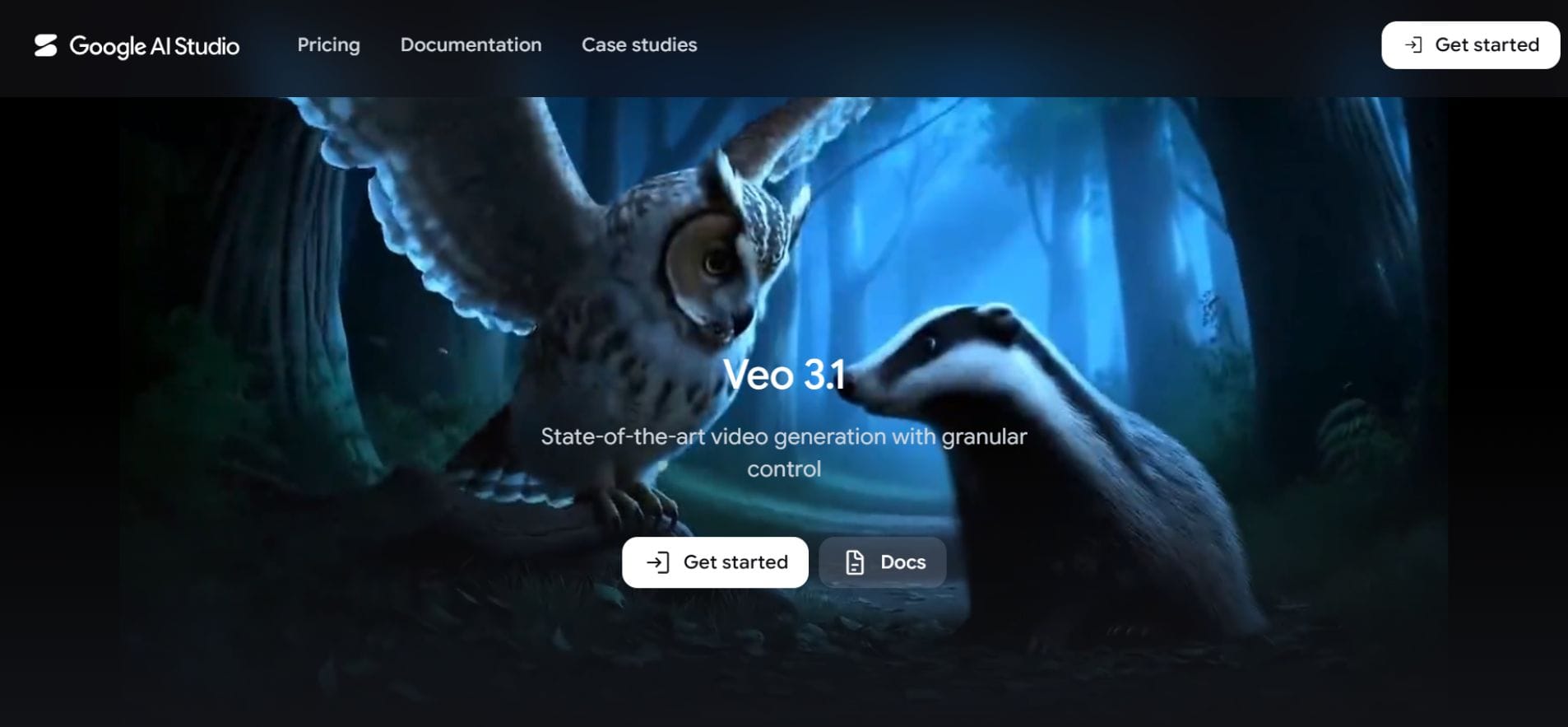 Google Veo 3.1